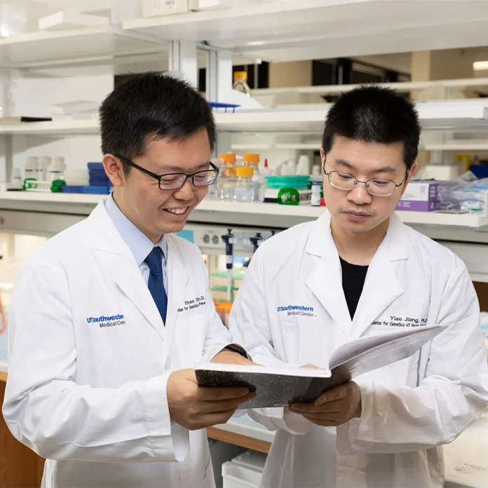 Two scientists - Zhao Zhang and Yiao Jiang responsible for the discovery of new protein known as HELZ2